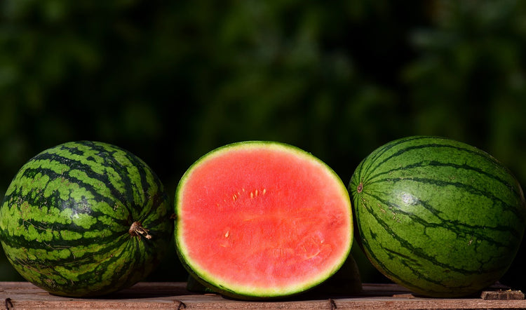 Melon Medley