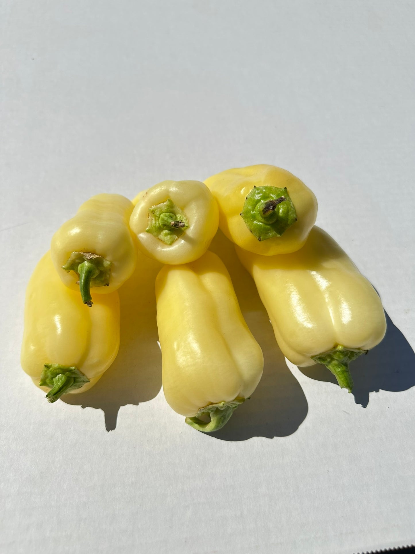 Hungarian Pepper