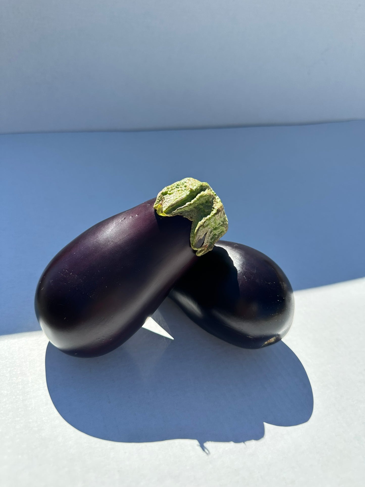 Italian Eggplants
