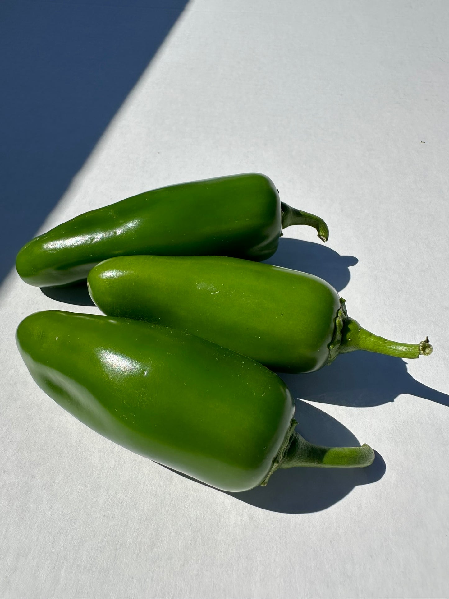 Jalapeño Peppers