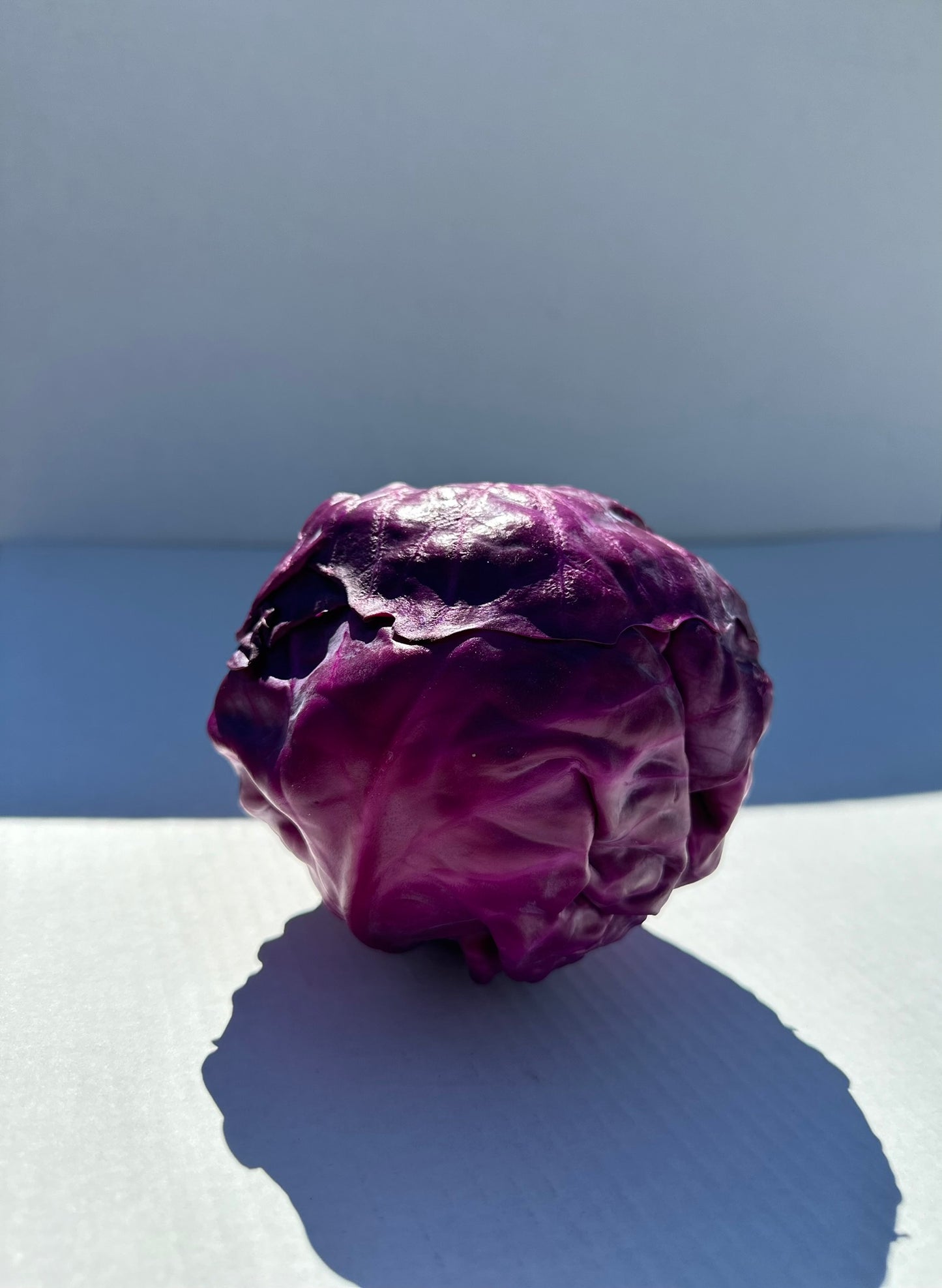Red Cabbage