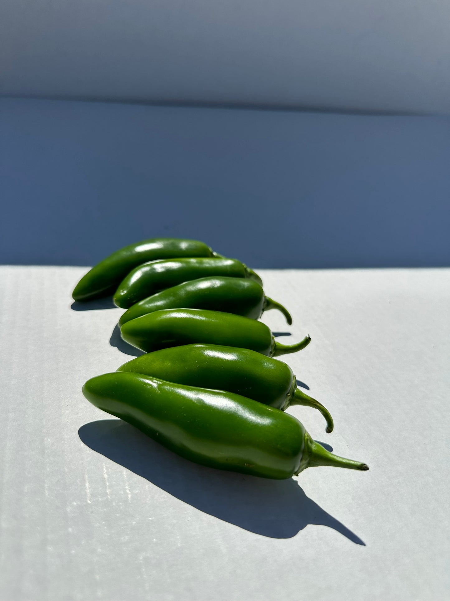 Jalapeño Peppers
