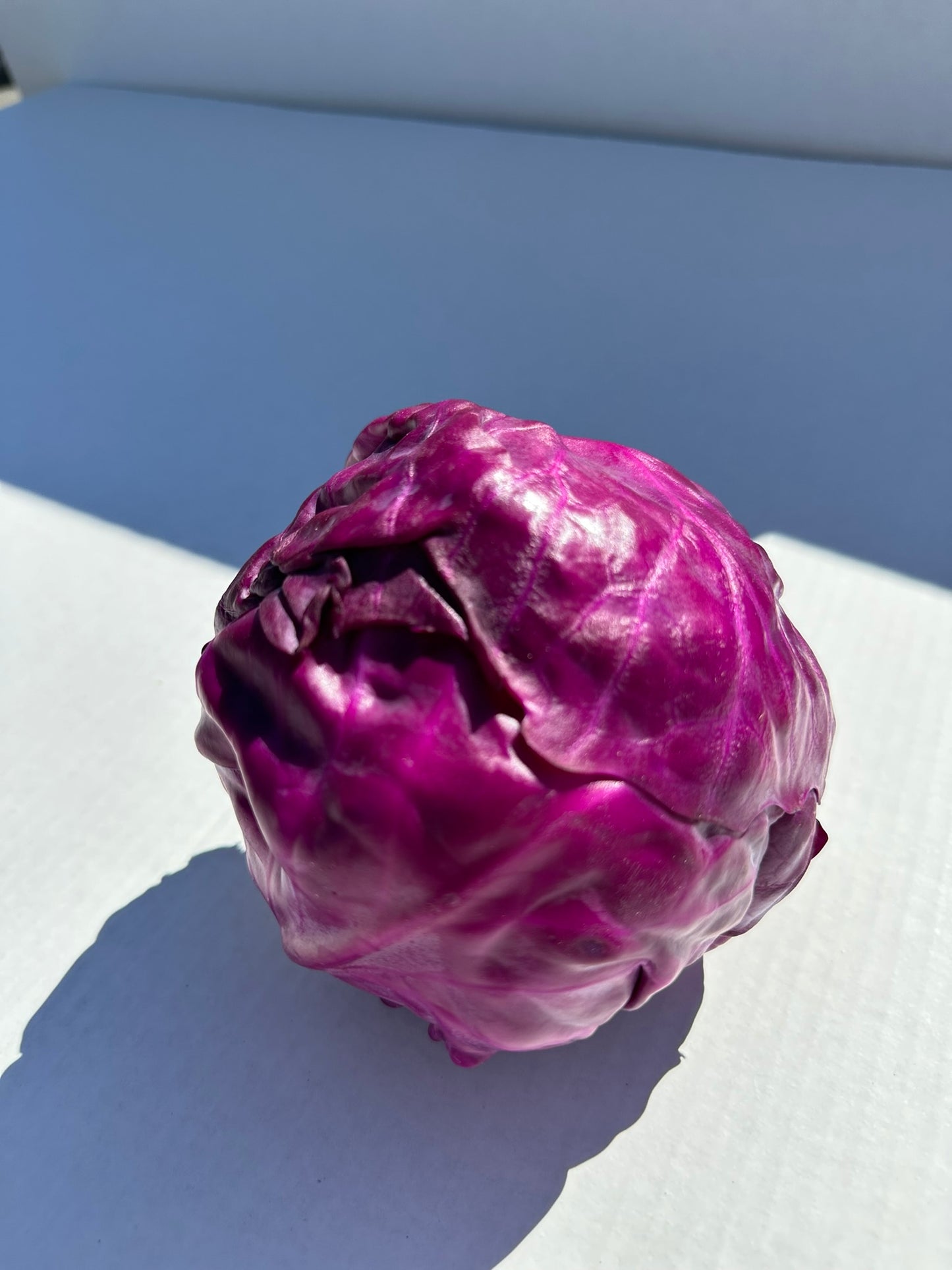 Red Cabbage