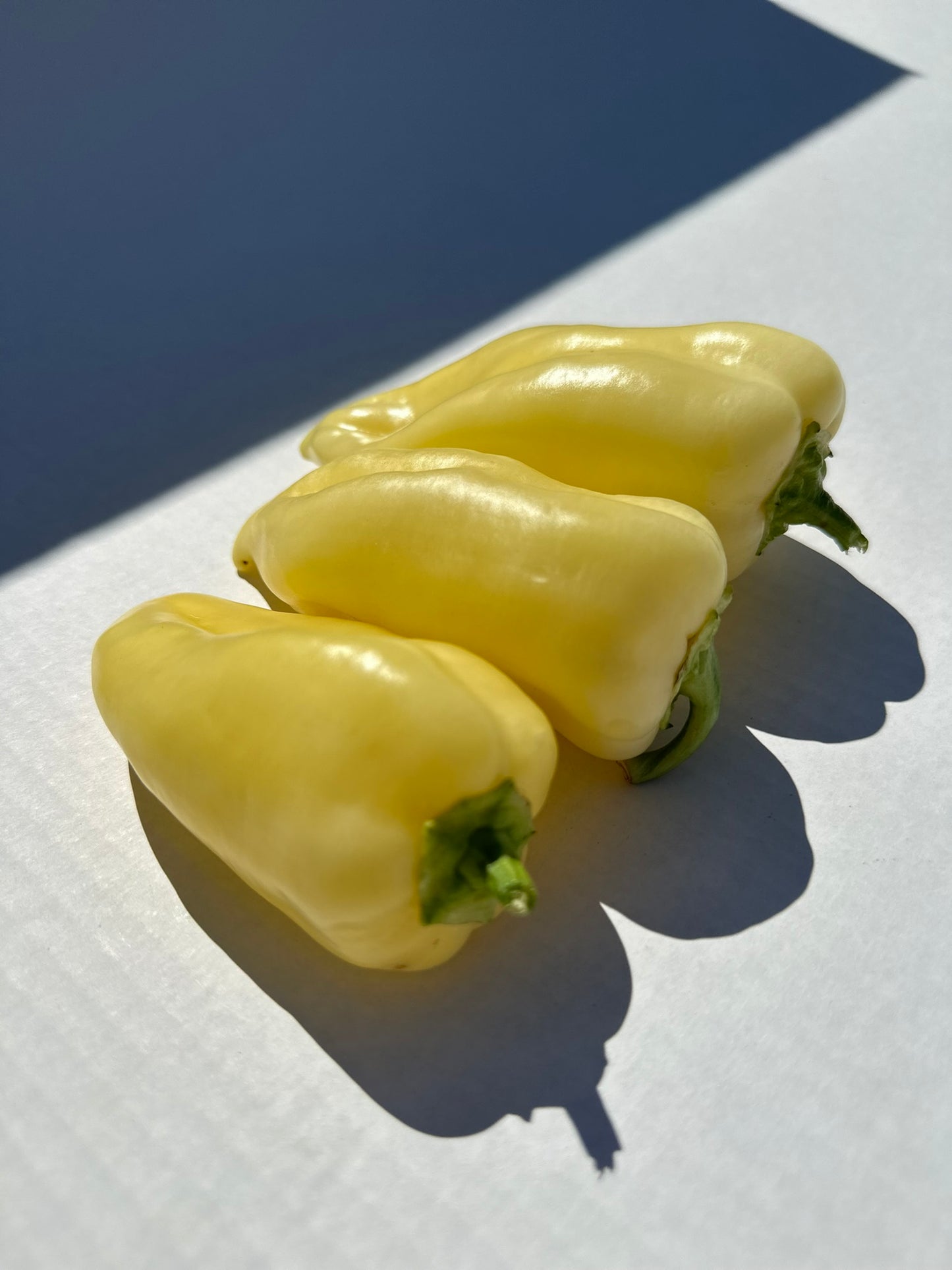Hungarian Peppers