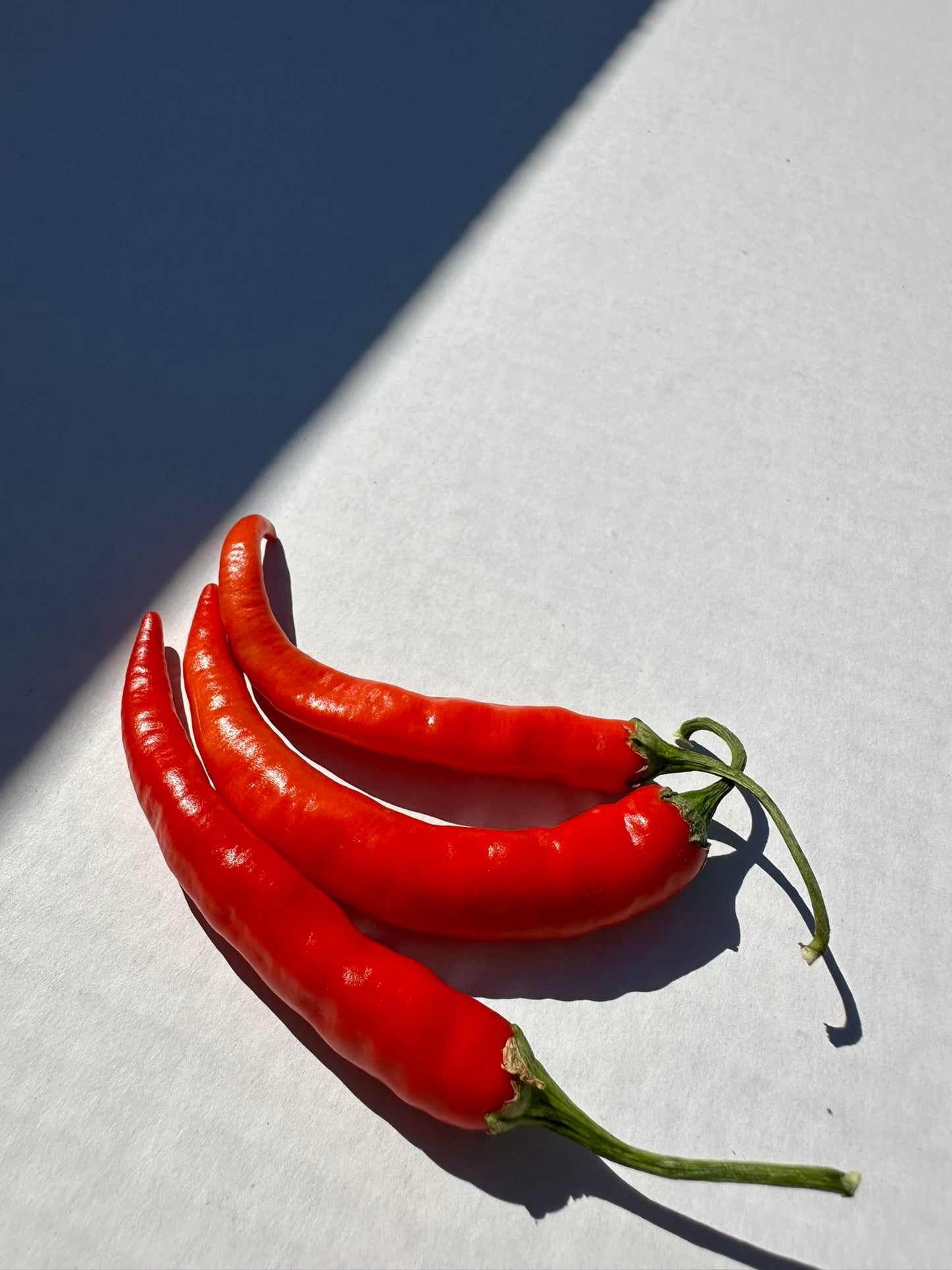 Red Ring of Fire Peppers
