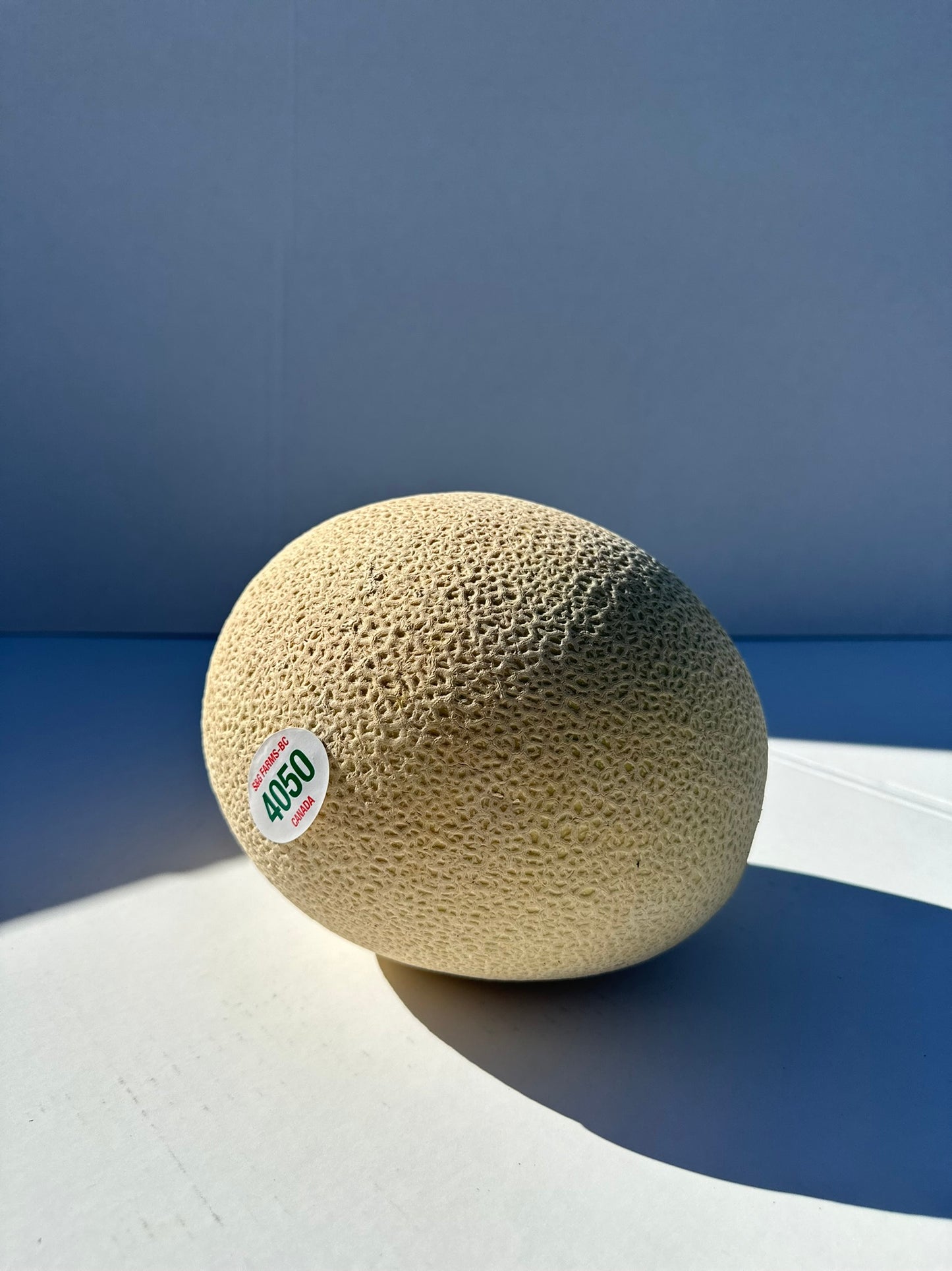 Cantaloupe Melon
