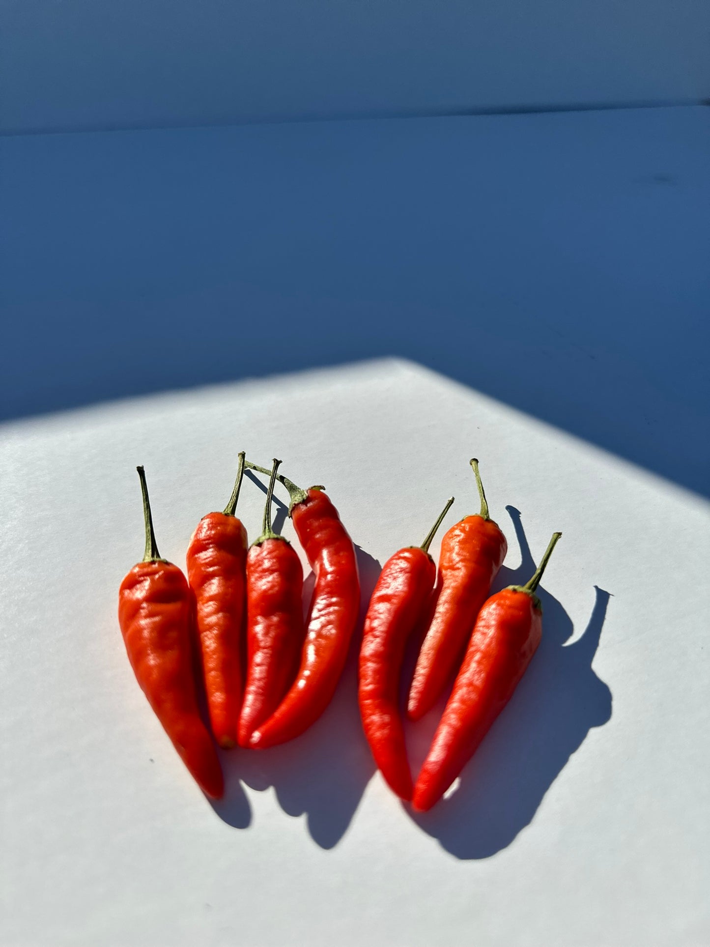 Red Thai Peppers
