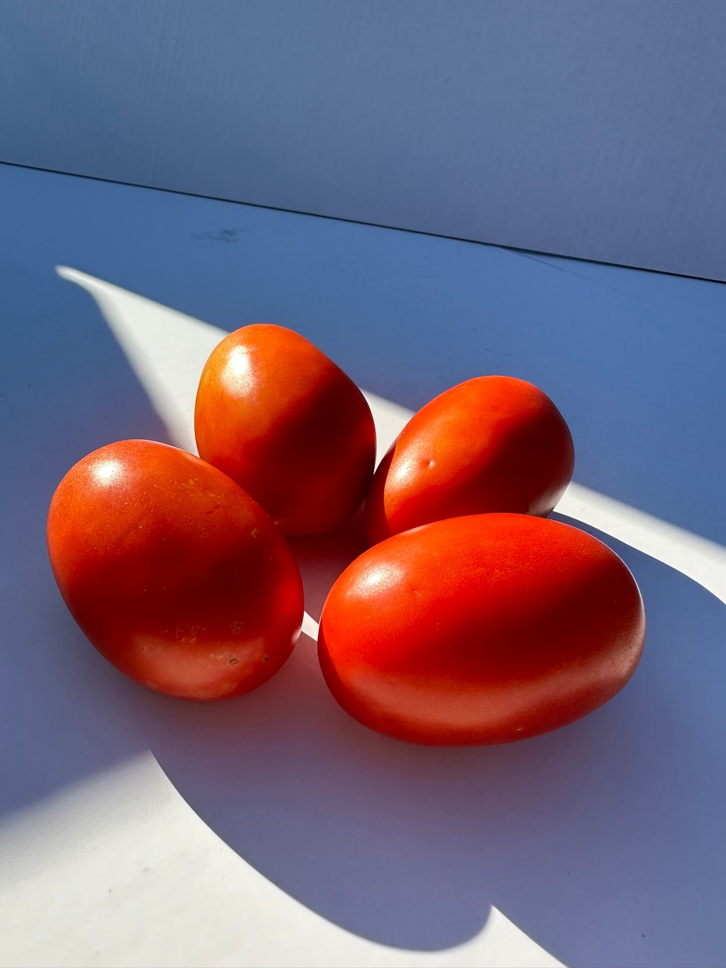 Roma Tomatoes