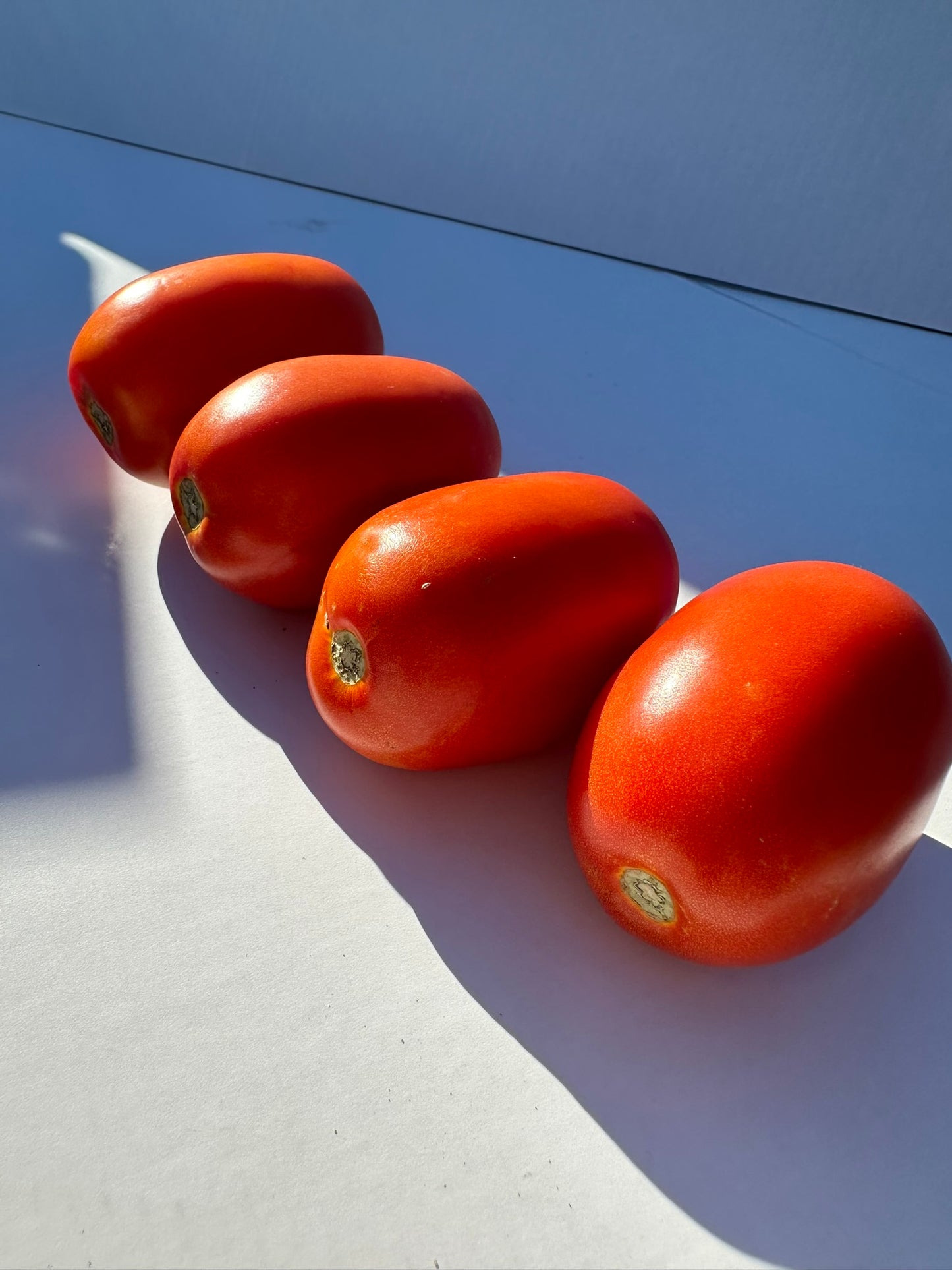 Roma Tomatoes