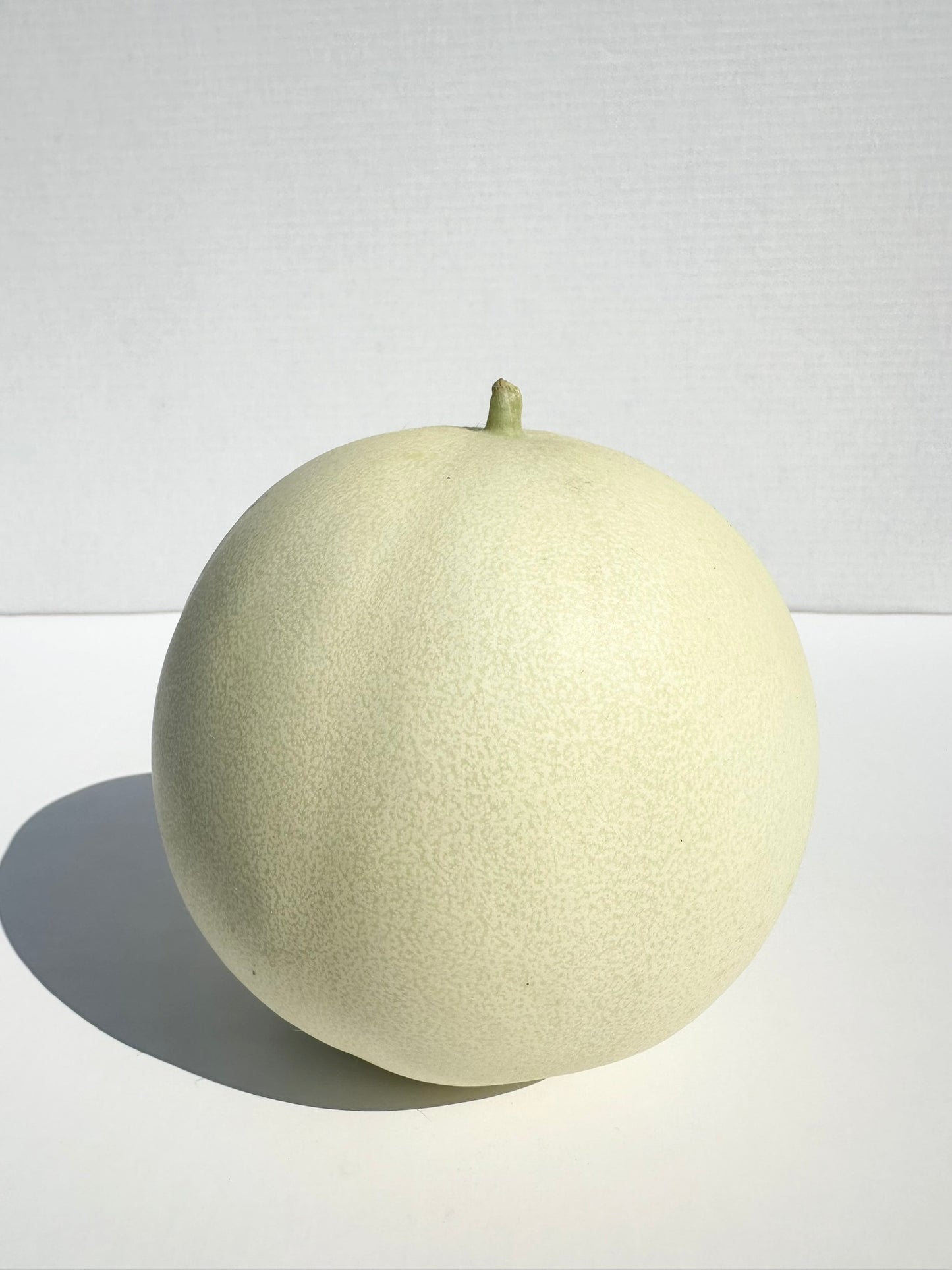 Honeydew Melon