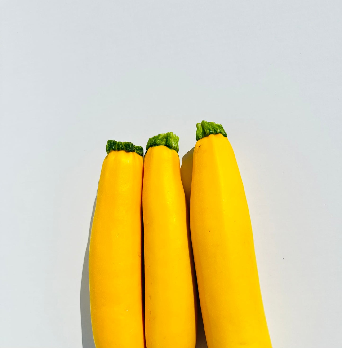 Yellow Zucchini
