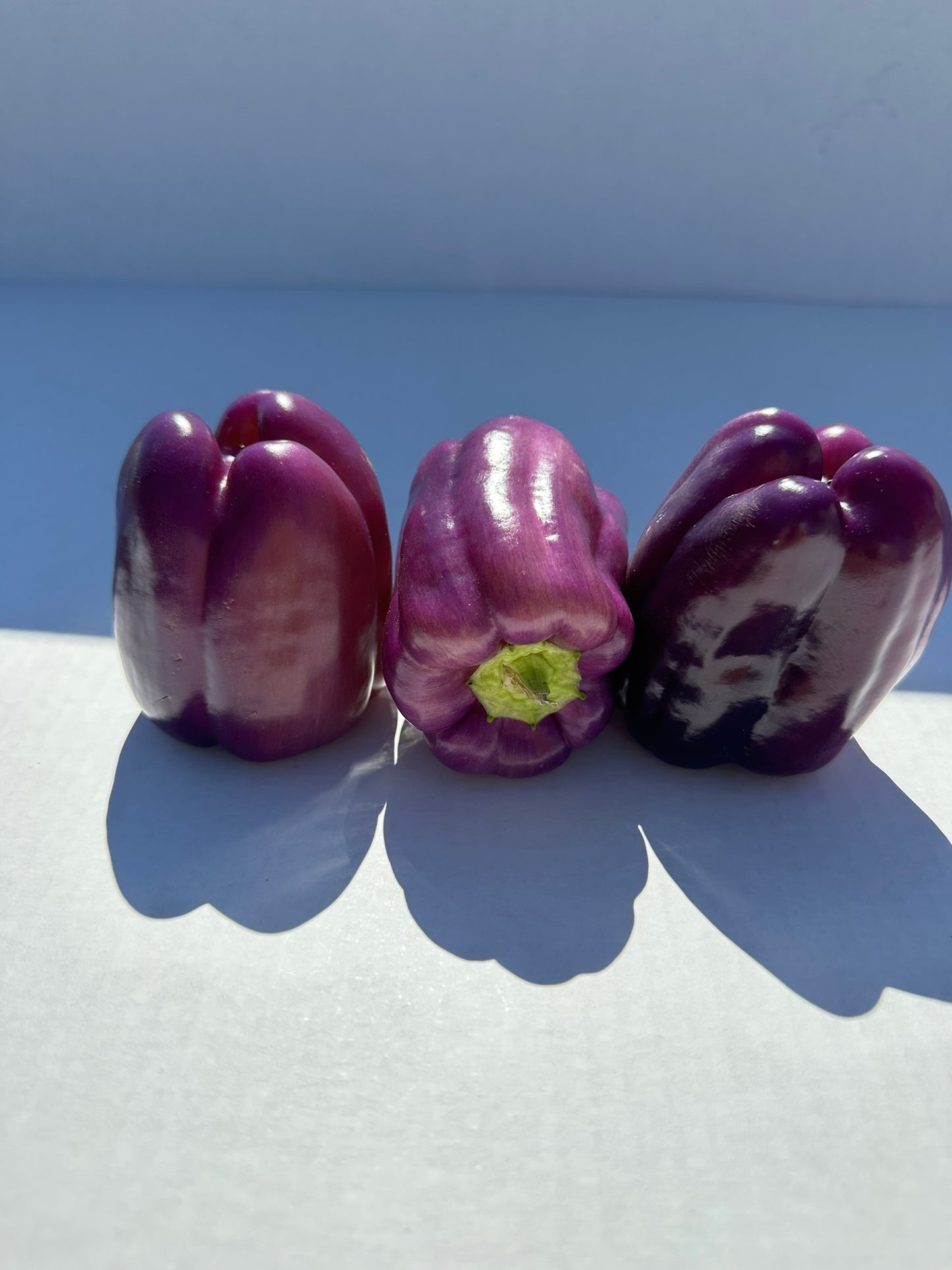 Purple Bell Peppers