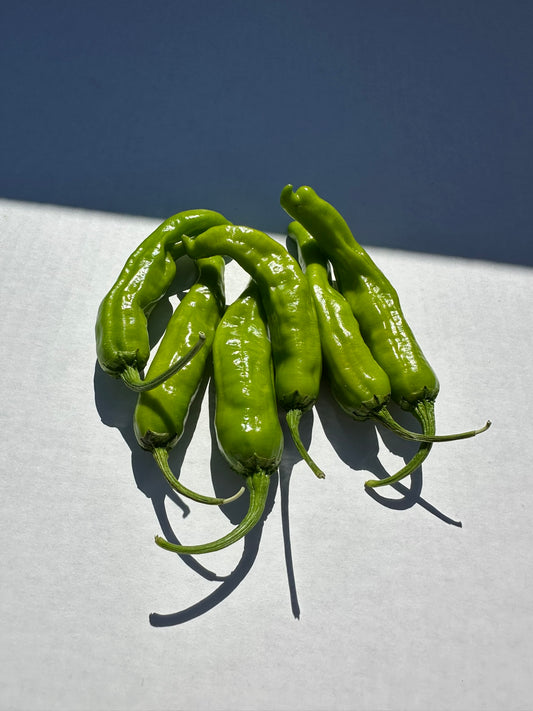 Green Shishito Peppers