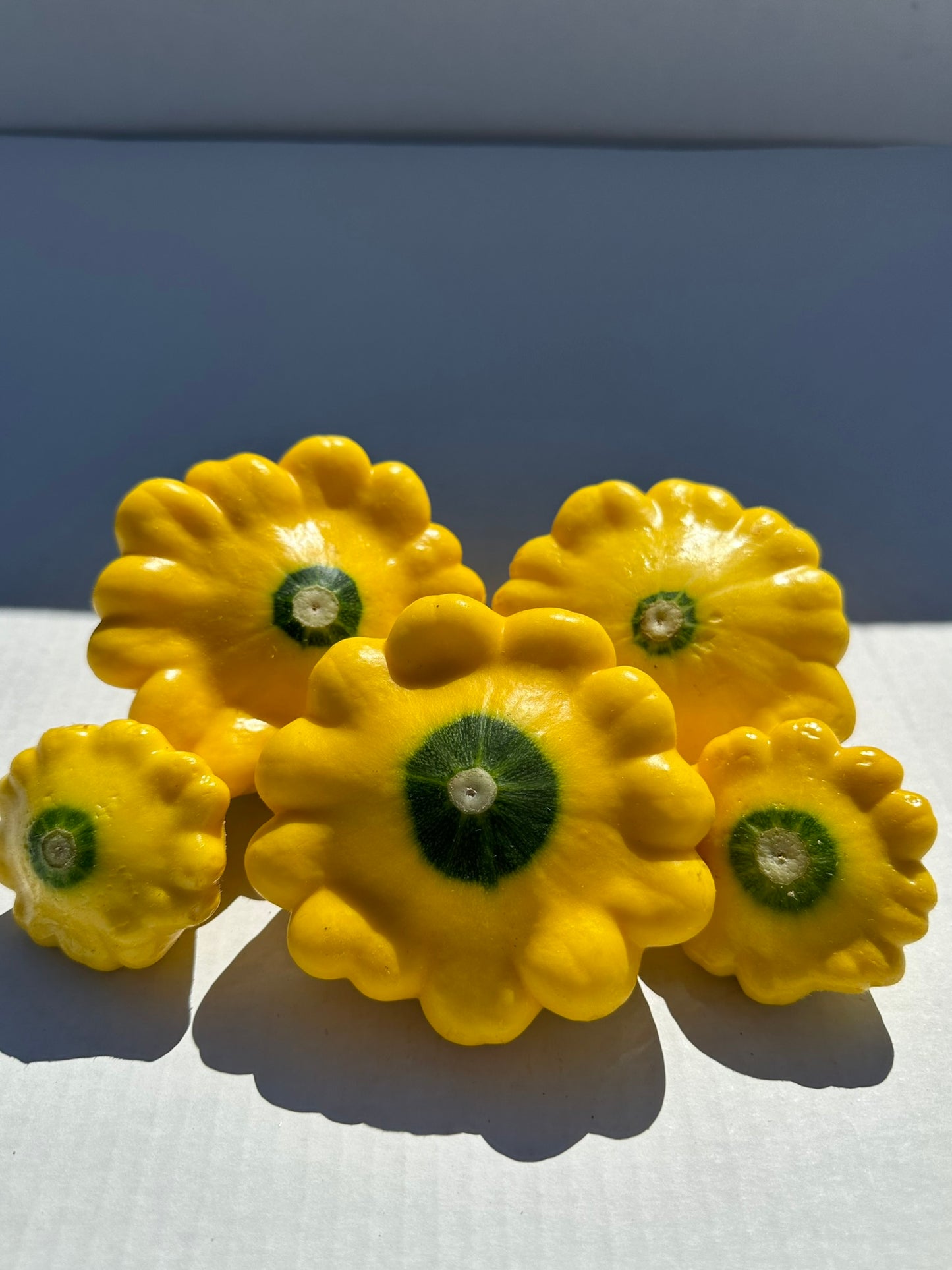 Pattypan Squash