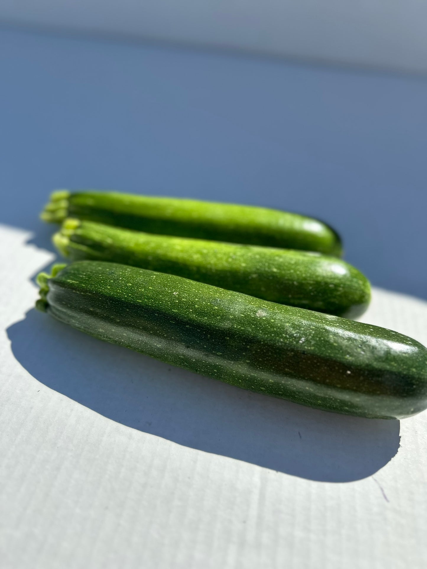 Green Zucchini