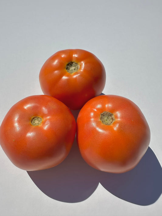 Field Tomatoes