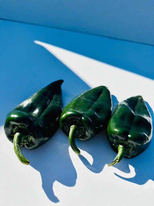 Poblano Pepper