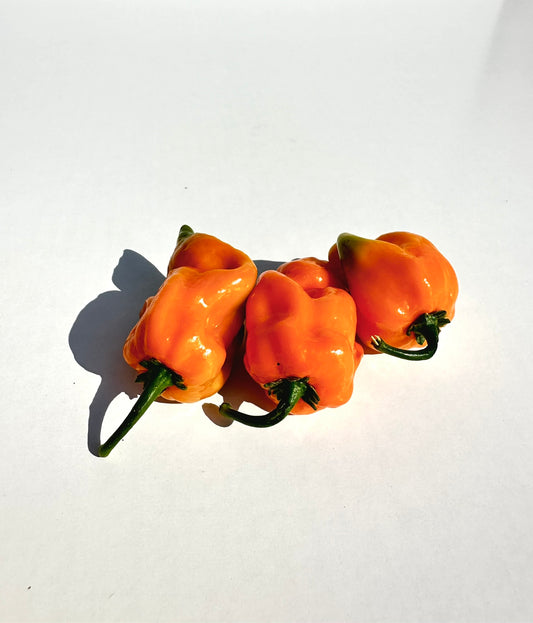 Habenero Peppers